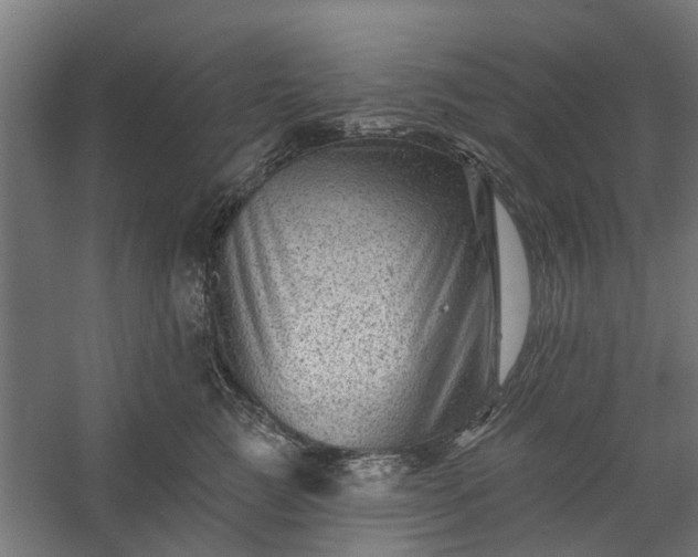 X0000060220761200511041204
