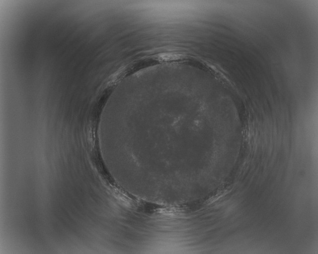 X0000060220763200511041204