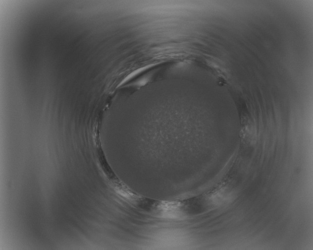 X0000060220767200511041204