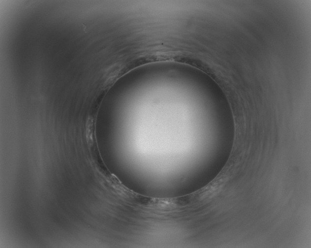 X0000060220768200511041204