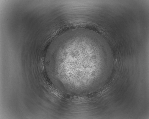 X0000060220772200511041203