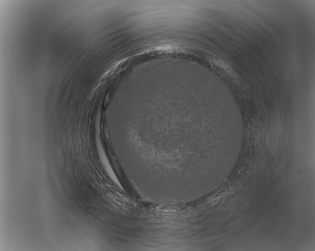 X0000060220776200511041203