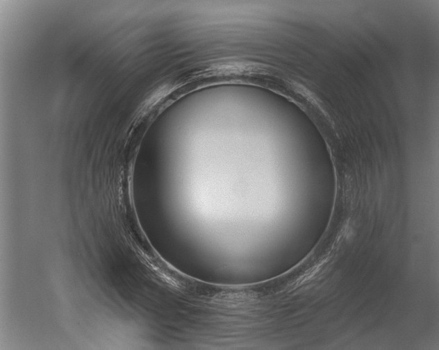X0000060220778200511041203