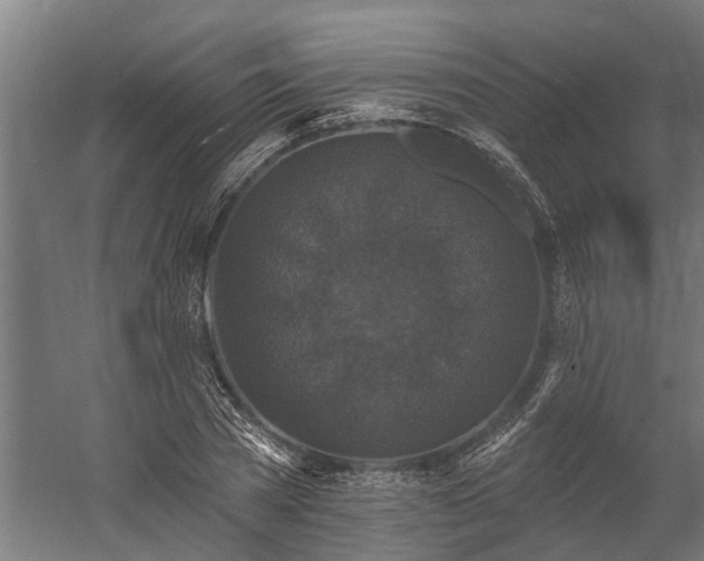 X0000060220785200511041203