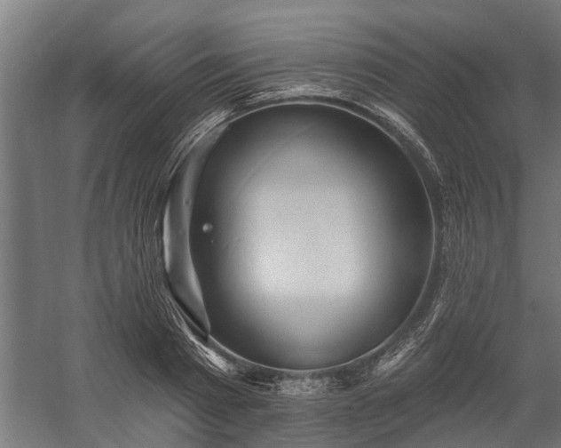 X0000060220793200511041203