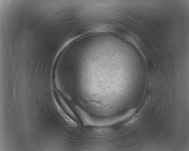 X0000060220795200511041203