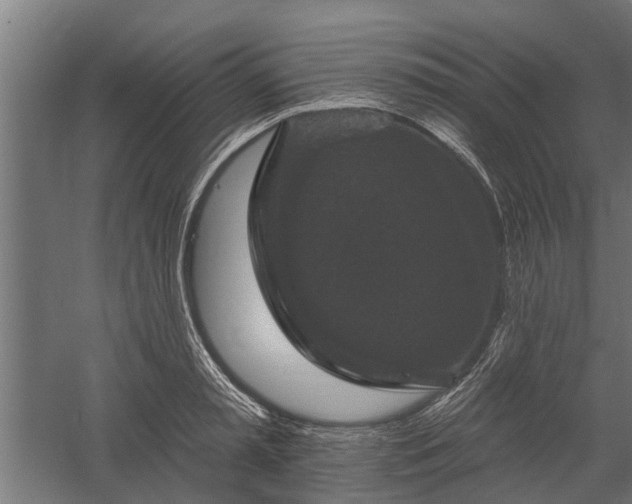 X0000060220797200511041203