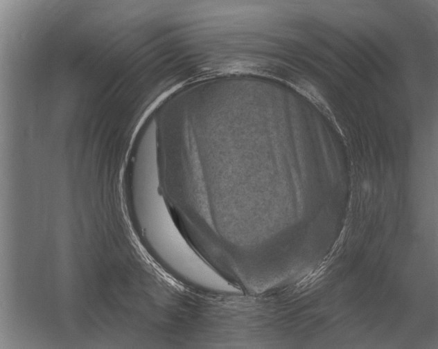 X0000060220798200511041203