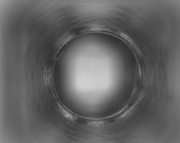 X0000060220801200511041203