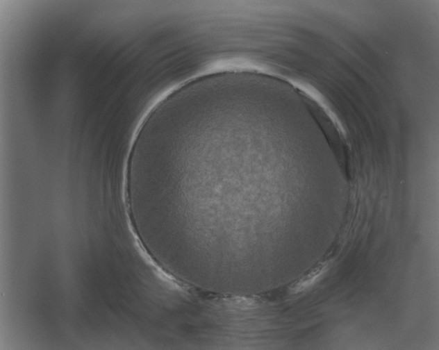 X0000060220815200511041203