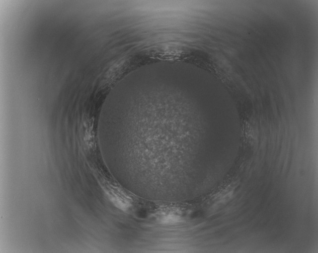 X0000060220818200511041202