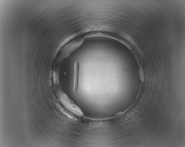 X0000060220826200511041202