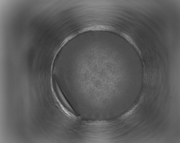 X0000060220845200511041202
