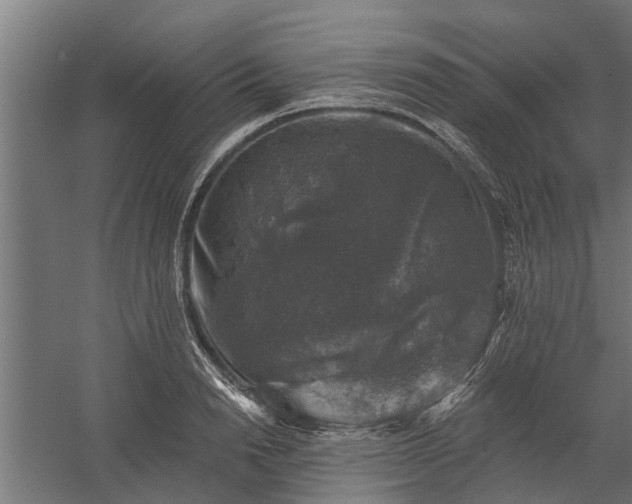 X0000060220846200511041202