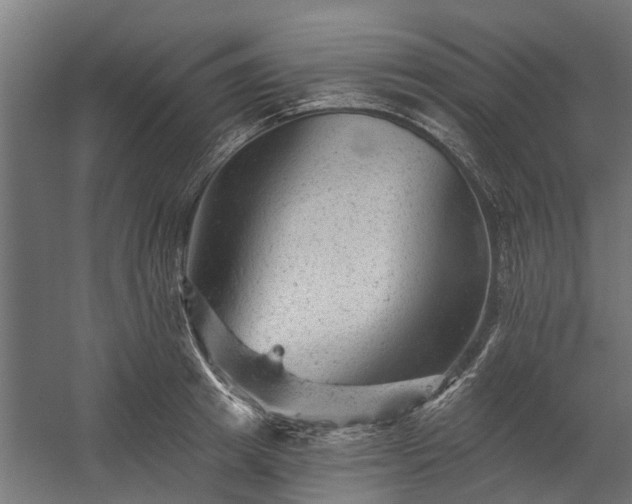 X0000060220849200511041202