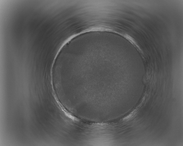 X0000060220854200511041202