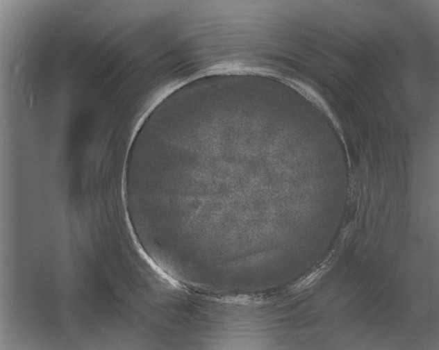 X0000060220855200511041202