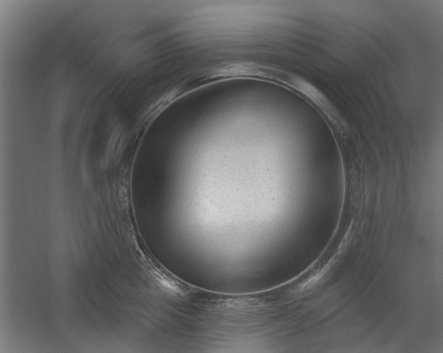 X0000060220857200511041202