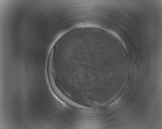 X0000060220863200511041203