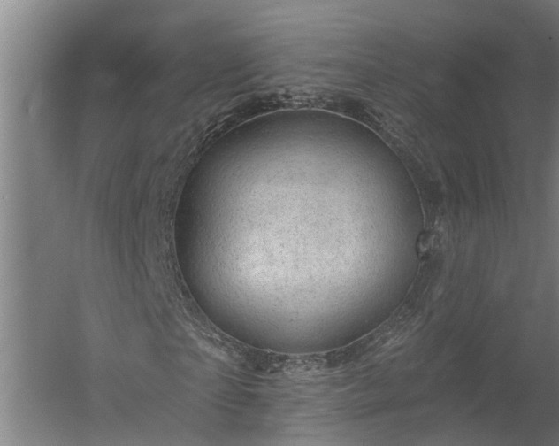X0000060220865200511041202
