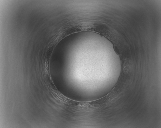 X0000060220866200511041202