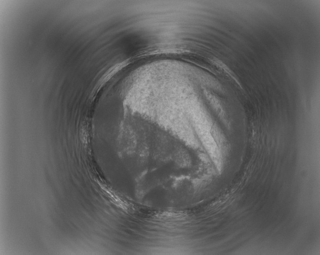 X0000060220874200511041202