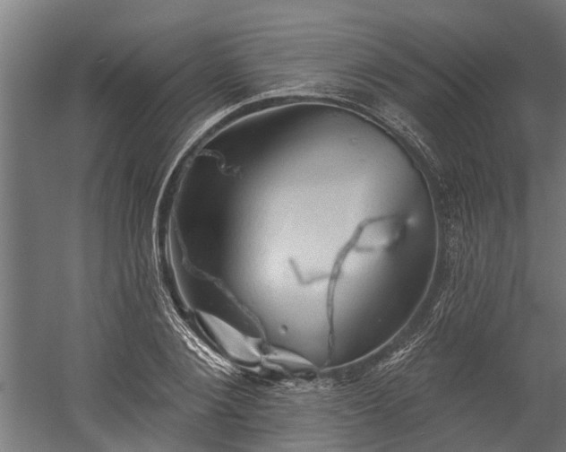 X0000060220884200511041201