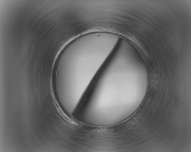 X0000060220896200511041201
