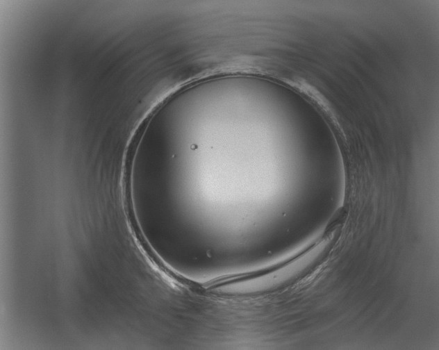 X0000060220902200511041201