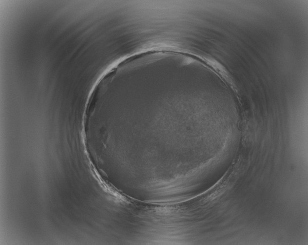 X0000060220904200511041201