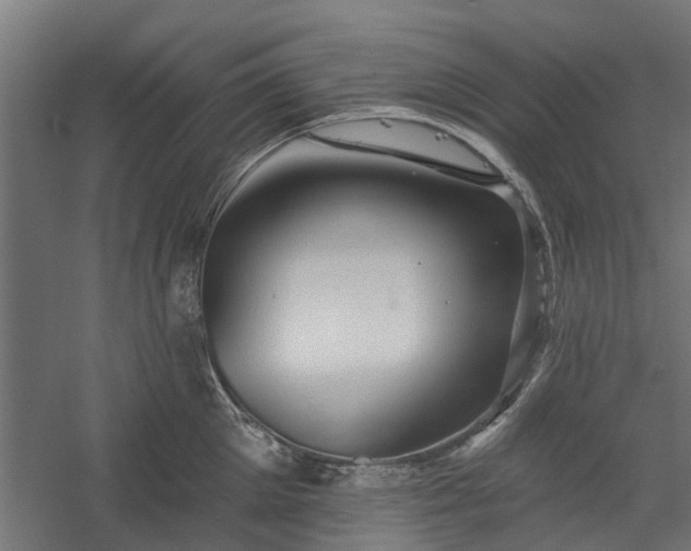 X0000060220905200511041201