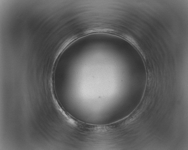 X0000060220906200511041201