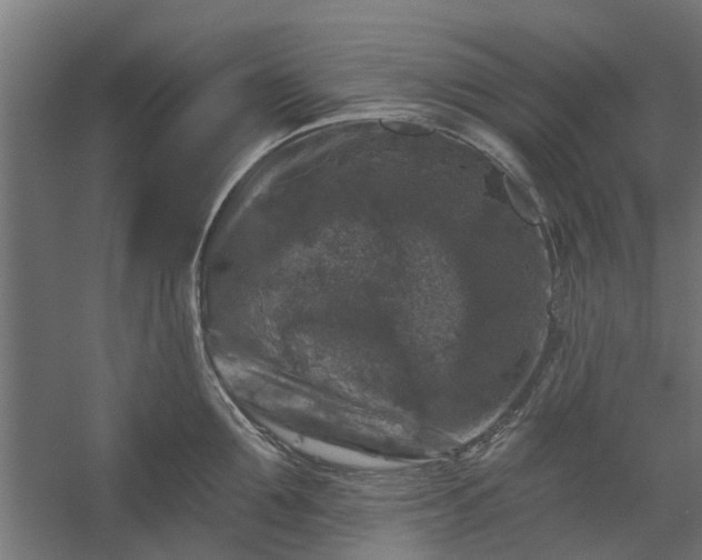 X0000060220907200511041201