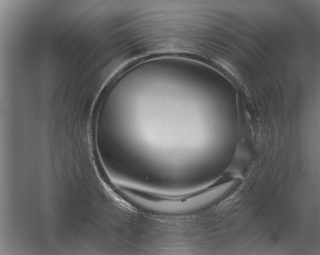 X0000060220942200511041201
