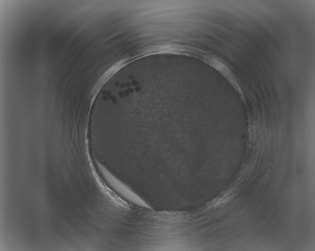 X0000060220954200511041201