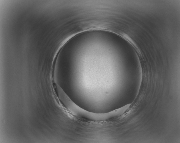 X0000060220956200511041201