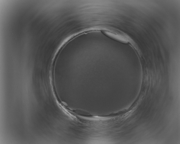 X0000060220958200511041201