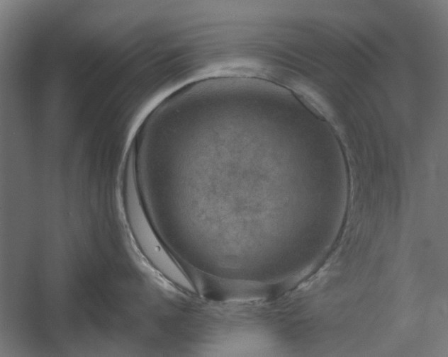 X0000060220960200511041201