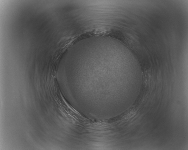 X0000060220962200511041200