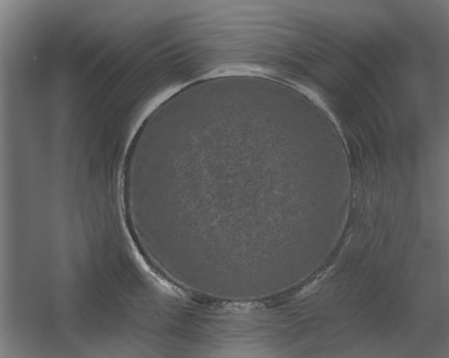 X0000060221003200511041159