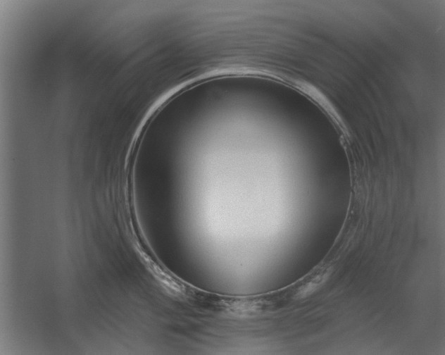 X0000060221004200511041159