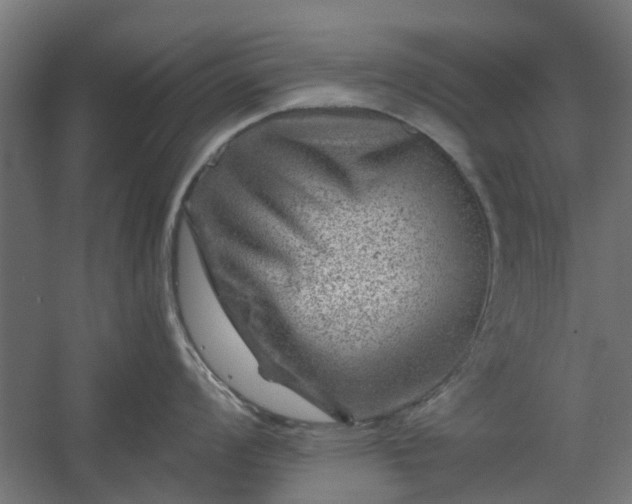 X0000060221008200511041159