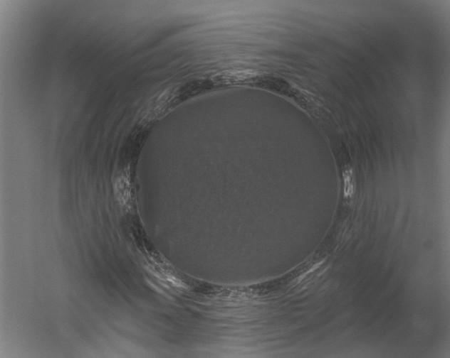 X0000060221011200511041159