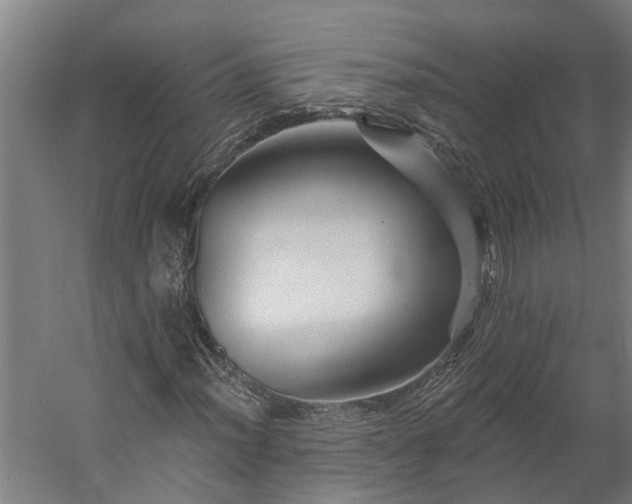 X0000060221012200511041159