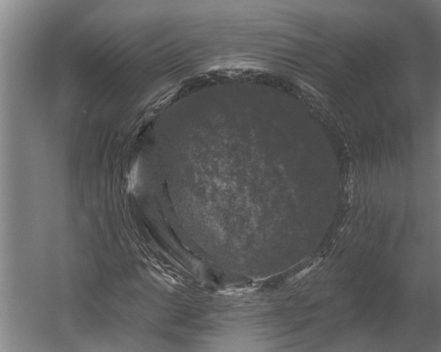 X0000060221014200511041159