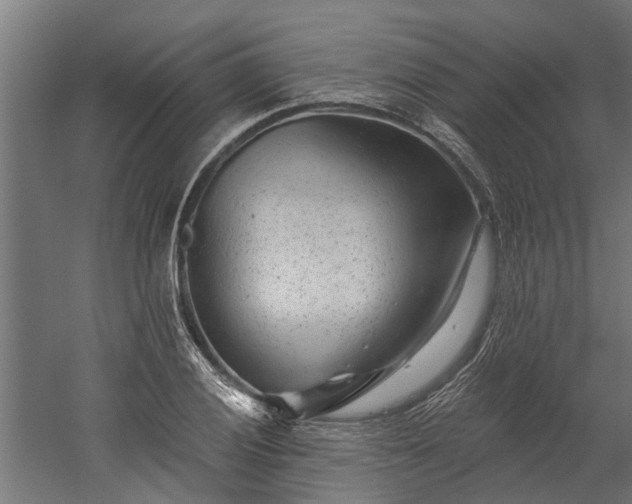 X0000060221028200511041159