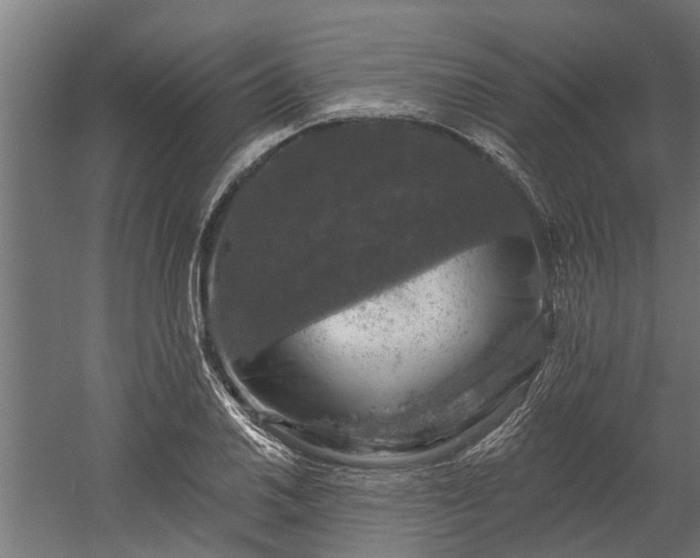 X0000060221030200511041159