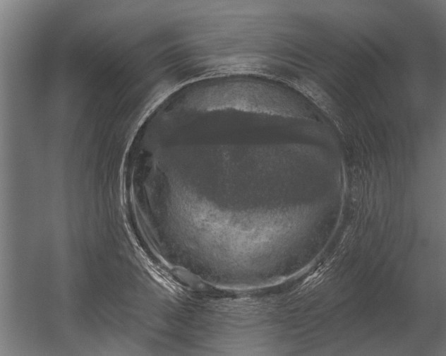 X0000060221031200511041159