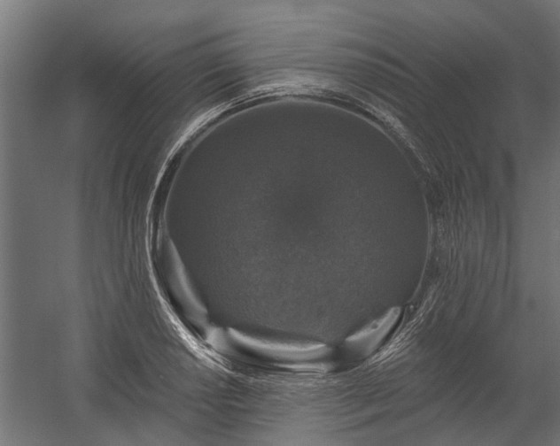 X0000060221034200511041159