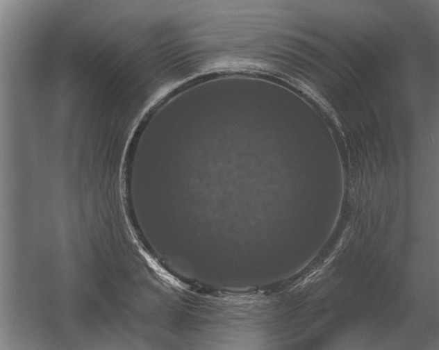 X0000060221037200511041159